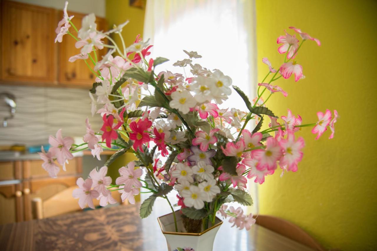 Yeti Guest House Маврово Екстериор снимка
